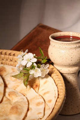 The Perfect Pita