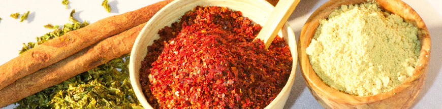 A row of spices including two cinnamon sticks, dried green herbs, a bowl of red chili flakes with a small spoon, and a wooden bowl of yellow powder, all on a white surface.