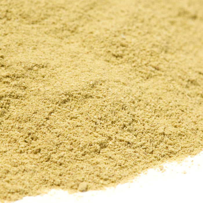 A close-up of fine, light yellowish-green Rosemary Powder Organic by Whole Spice Inc. spread on a white surface, highlighting this fragrant Mediterranean herb.