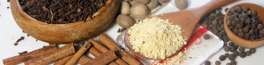 A close-up of assorted spices including cinnamon sticks, ground ginger on a wooden spoon, whole cloves, nutmeg, and peppercorns displayed on a white surface.