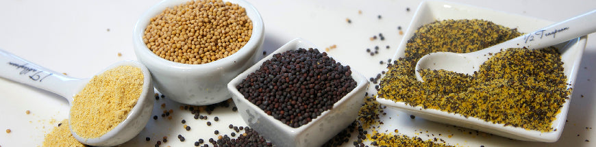 Various types of mustard seeds and powders are displayed in white dishes and spoons on a white surface, including whole yellow and black seeds, and ground mustard powder.