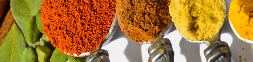 Close-up of four metal spoons filled with colorful ground spices—red, brown, yellow, and orange—arranged side by side on a white surface with green leaves in the background.
