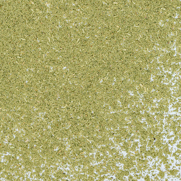A close-up of Whole Spice Inc. Epazote Powder scattered on a white surface, showcasing its fine texture—ideal for herbal tea infusions or as a distinctive seasoning in your favorite dishes.