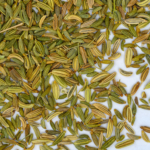 A close-up of Whole Spice Inc. Fennel Seeds, an aromatic spice for cooking, shows their green and light brown hues with ridged surfaces scattered on a white background.
