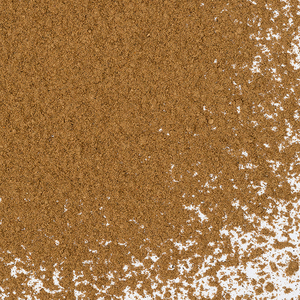 A close-up of Whole Spice Inc. Porcini Mushroom Powder, showing the finely ground brown powder scattered unevenly across a white surface.