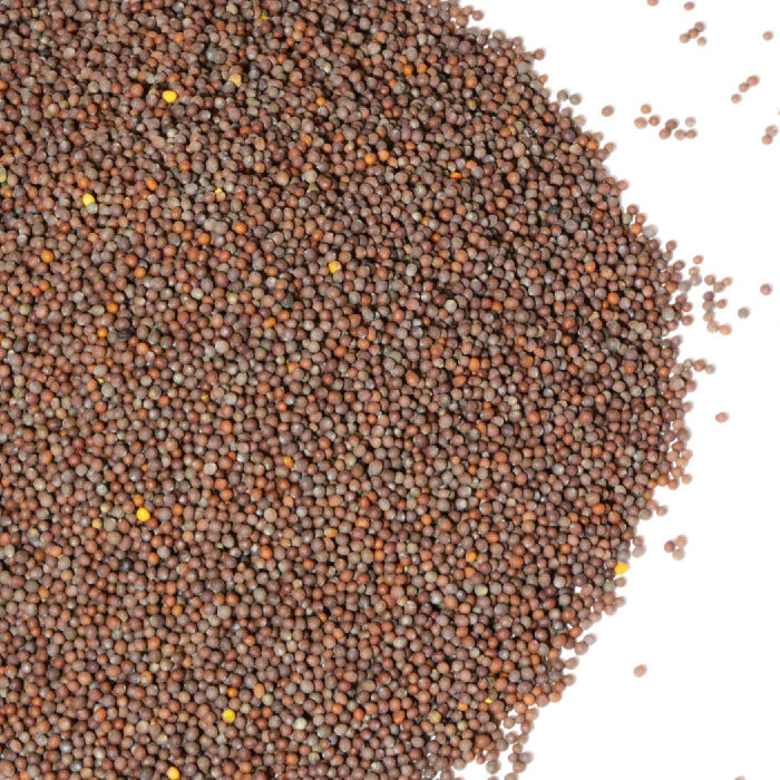 A close-up of Whole Spice Inc. Brown Mustard Seed Whole shows small, round seeds (Brassica nigra) scattered on a white surface, with some spread loosely around the main pile.
