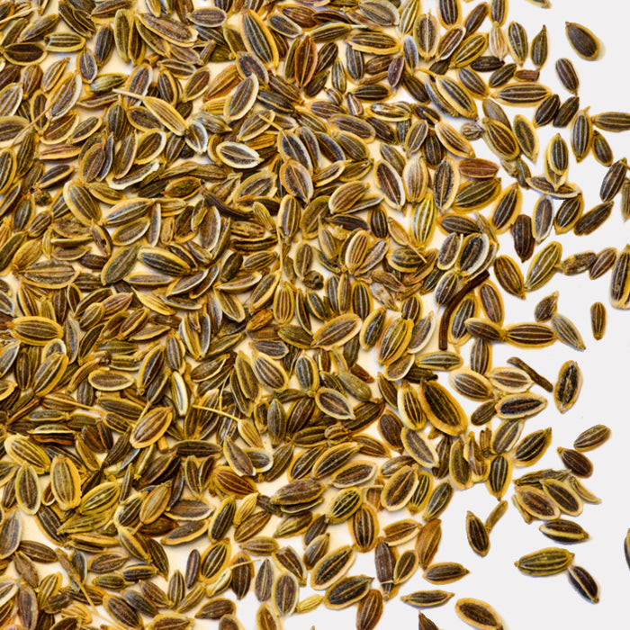 Close-up of Whole Spice Inc. Dill Seeds—a scattered pile of dry, brown, oval seeds with distinct ridges, valued for digestive benefits and commonly used in pickles—shown against a white background.